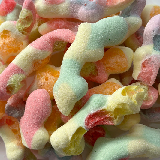 Freeze Dried Lizards