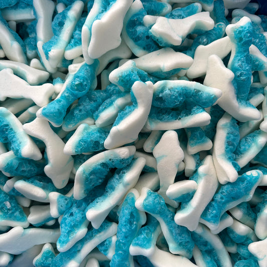 Freeze Dried GLUTEN FREE Blue Sharks
